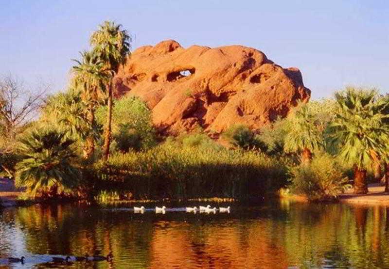 Courtyard By Marriott Airport 3* Phoenix